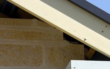soffit repair Far Hoarcross